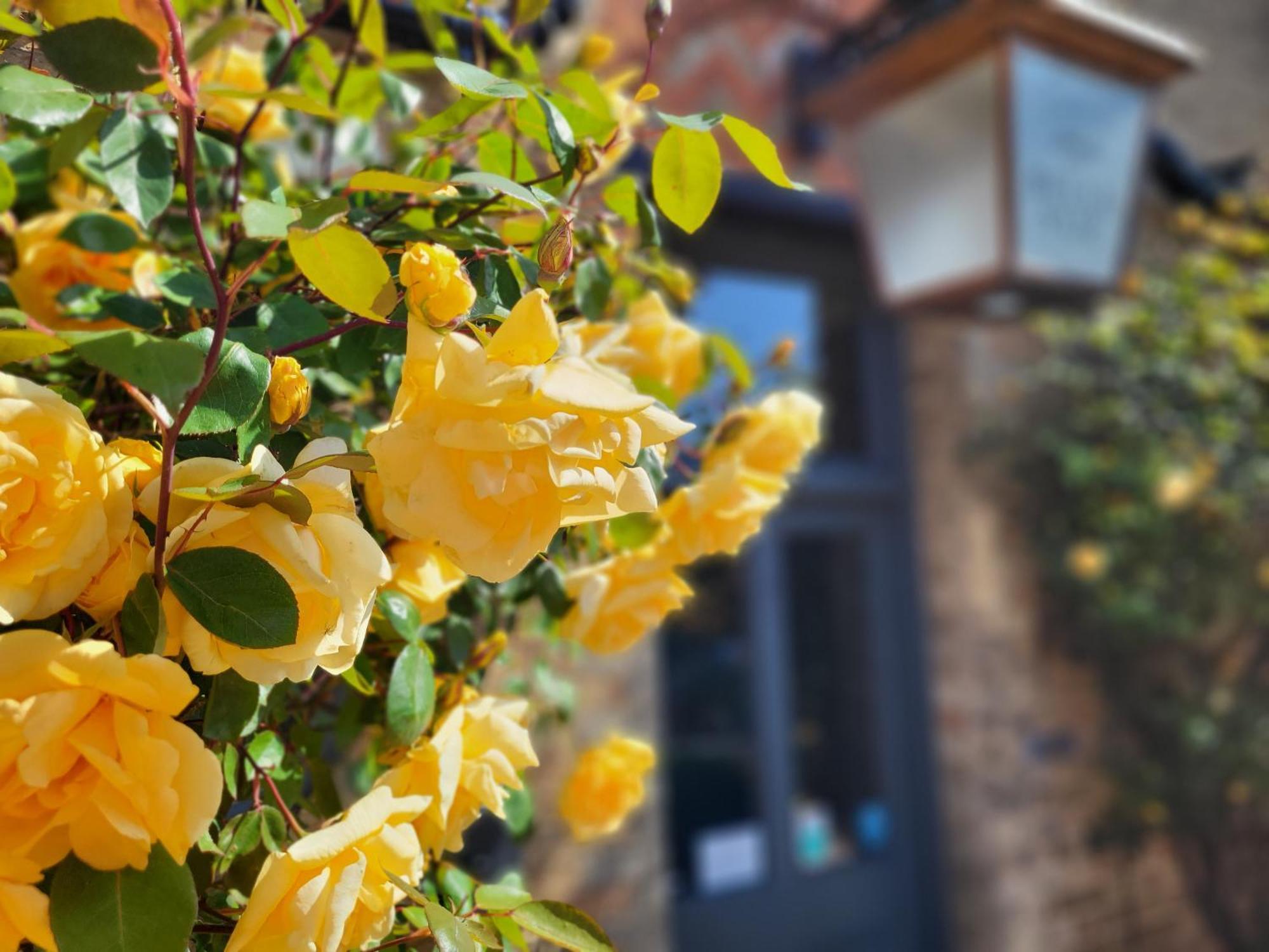 Belle Vue Guest House Denver Экстерьер фото
